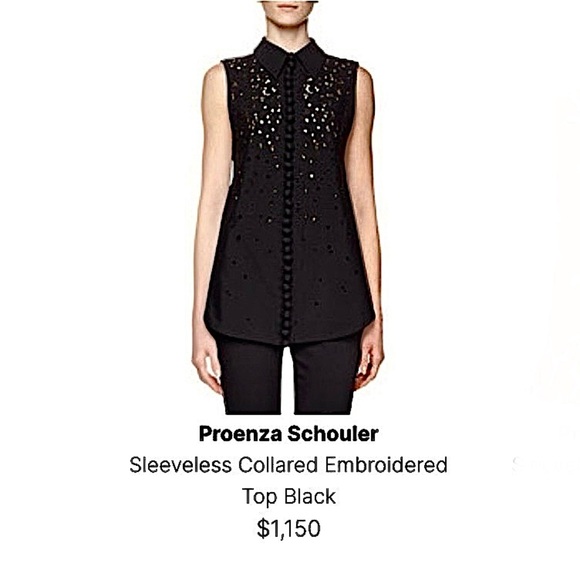 PROENZA Schouler Embroidered Button Down Blouse Cut Out Tie Back Tunic Coastal - Picture 14 of 14